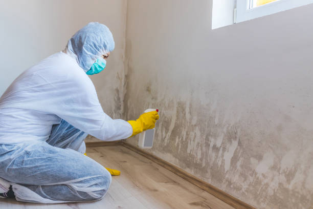Commercial Mold Remediation assessment for commercial property in Northern Cambria